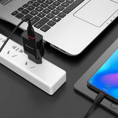 Сетевое зарядное устройство Borofone BA20A Sharp USB с кабелем Type-C (черное) &mdash; 2